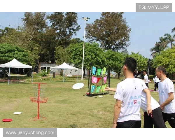 聚焦飞盘运动：深圳飞盘队如何提升团队意识与协作能力