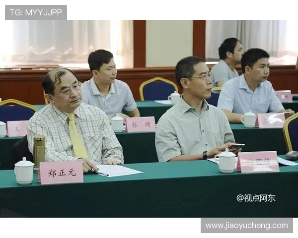 西安羽毛球队的整体压制与技术分析深度探讨